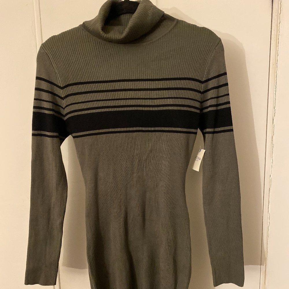 [NWT] Turtleneck Dress